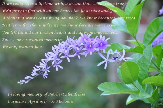 in loving memory of Norbert Hendrikse